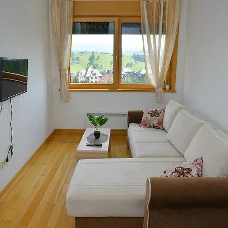 Apartment Apartments Djurkovac Alibi