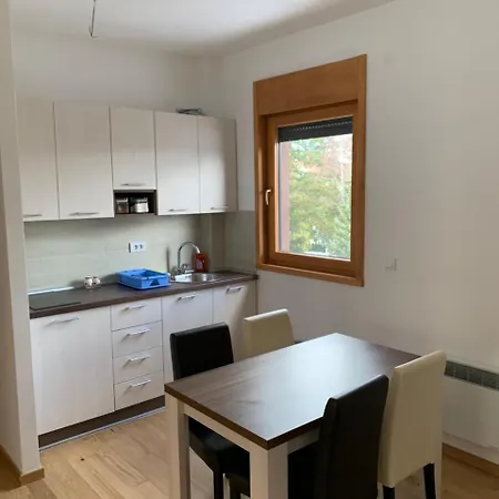 Apartment Apartments Djurkovac Alibi Zlatibor